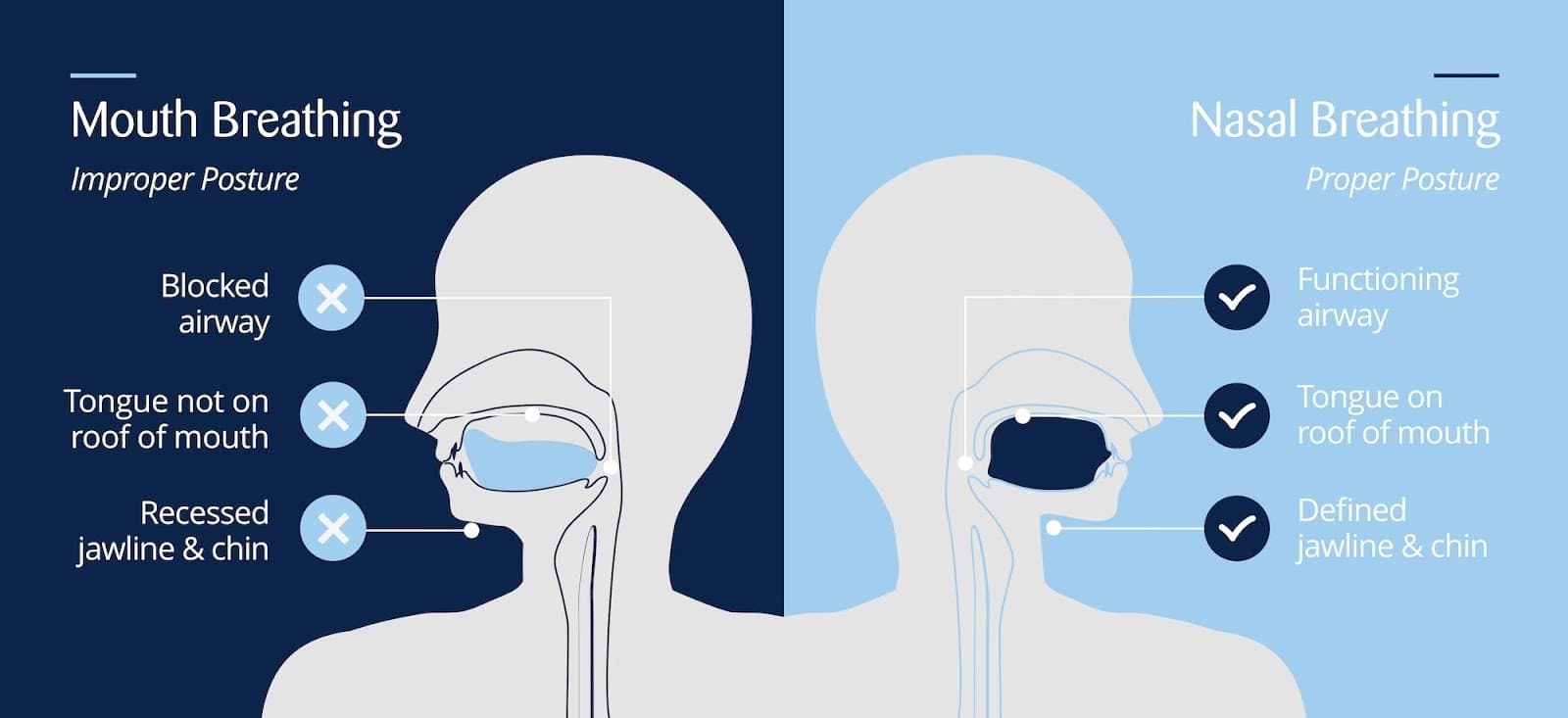 An illustration comparing nasal breathing posture with mouth breathing posture