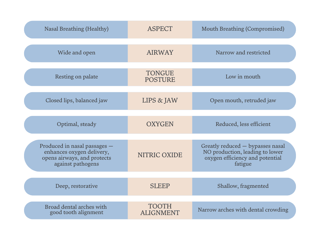 Comparison table of nasal breathing versus mouth breathing across airway, tongue posture, lips and jaw, oxygen, nitric oxide, sleep and tooth alignment