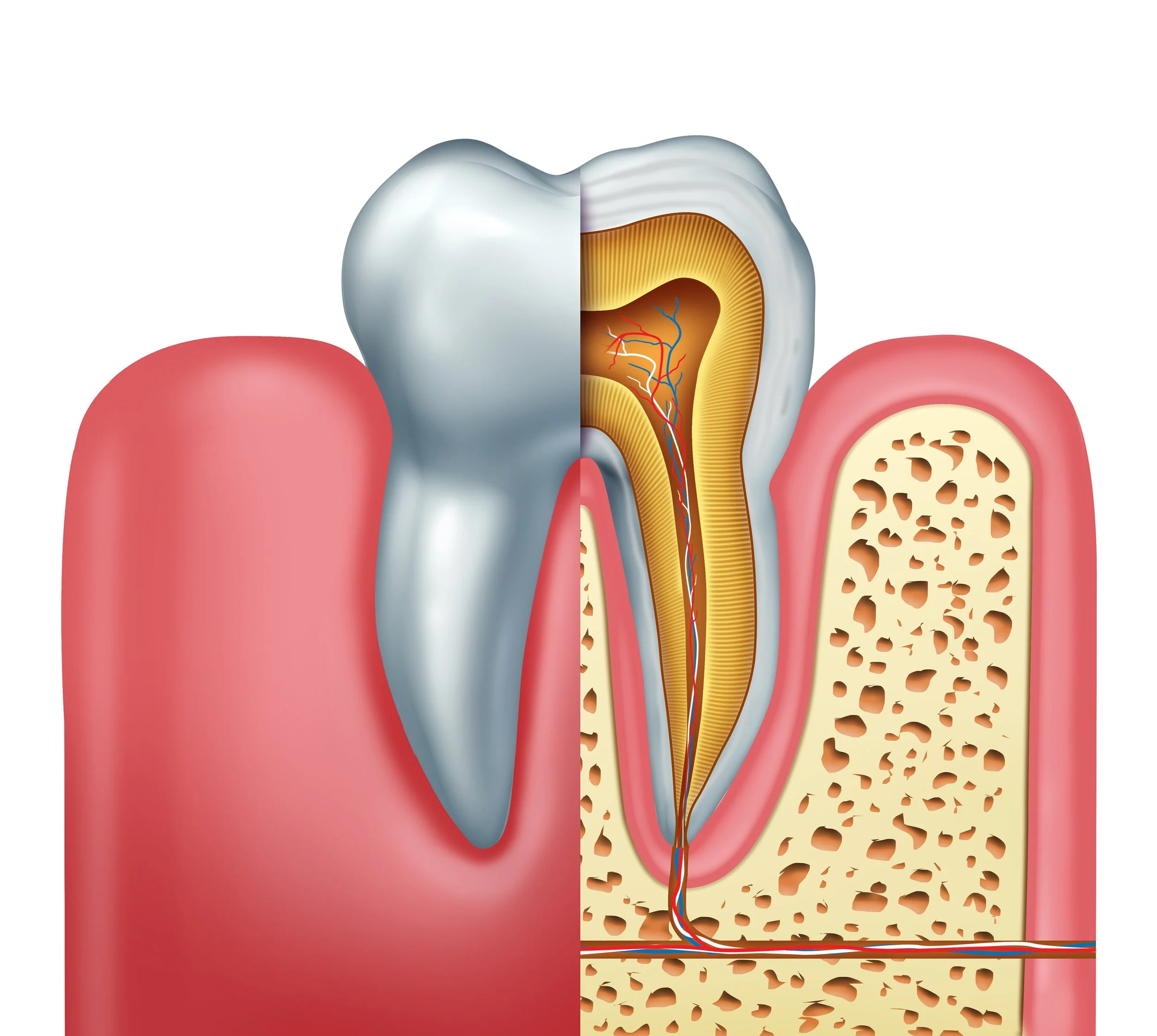 Root canal treatment to save a badly decayed or infected tooth at Align Dental Surgery